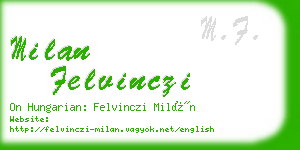 milan felvinczi business card